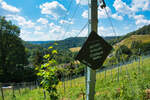 Bilder zur LahnWeinStieg Rundwanderung