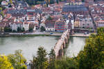 Alte Brücke und Brückenaffe