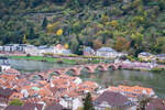 Alte Brücke und Brückenaffe