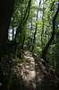 Bilder zur Wanderung auf der Traumschleife Layensteig Strimmiger Berg