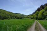 Bilder zur Wanderung auf der Traumschleife Layensteig Strimmiger Berg
