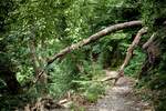 Bilder zur Premiumwanderung HöhenLuft Bad Ems