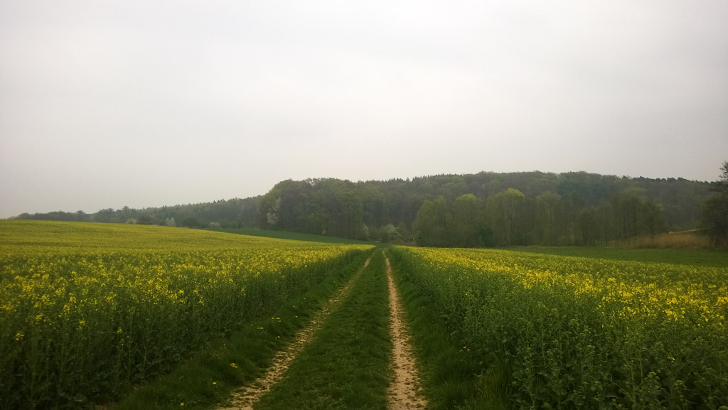 Spessartbogen Abschnitt 1 – Langenselbold nach Freigericht-Horbach