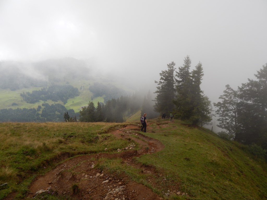 Allgäuer Alpen : Luftiger Grat – Falkenhütte – Seelekopf – Stiegalpe