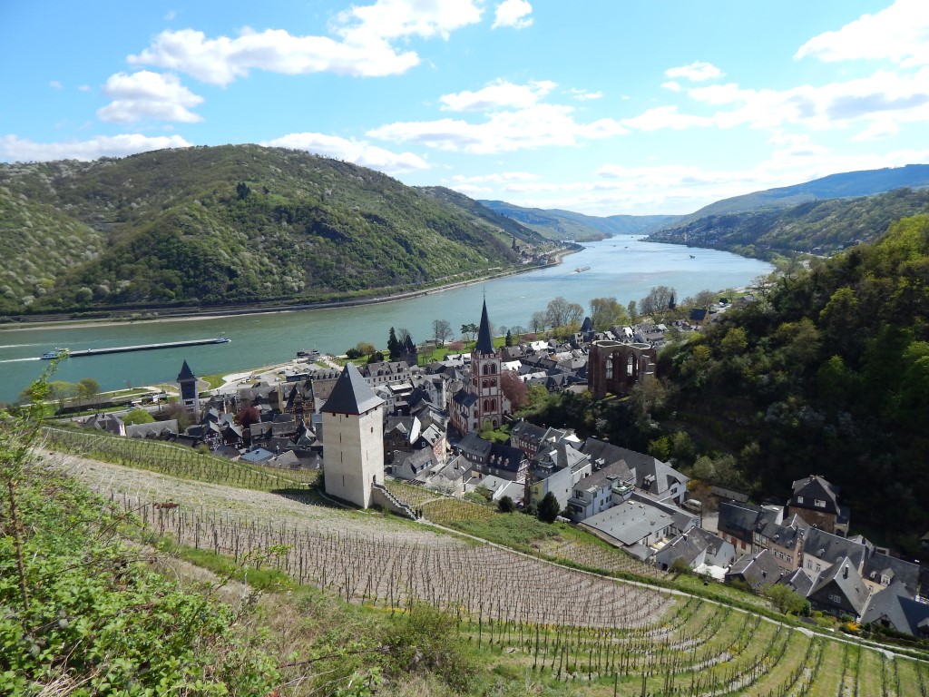 Stahlberg-Schleife Bacharach Rheinsteig Premium-Rundweg