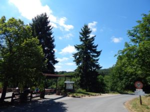 Rundweg Morgenbachtal Wanderung Soonwaldsteig RheinBurgenWeg