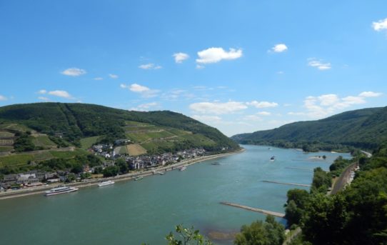 Rundweg Morgenbachtal über Soonwaldsteig und RheinBurgenWeg