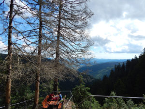 Felsenpfad Col de la Schlucht