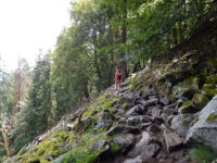 Geröllfeld auf dem Col de la Schlucht