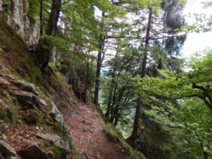 Felsenpfad Col de la Schlucht