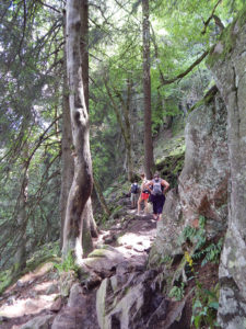 Felsenpfad Col de la Schlucht