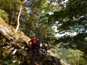 Felsenpfad Col de la Schlucht