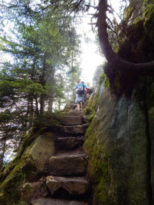 Felsenpfad Col de la Schlucht