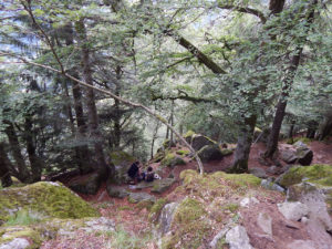 Felsenpfad Col de la Schlucht