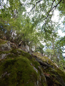 Felsenpfad Col de la Schlucht