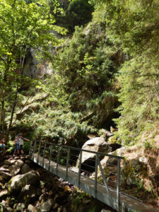 Felsenpfad Col de la Schlucht