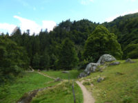 Felsenpfad Col de la Schlucht