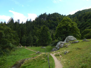 Felsenpfad Col de la Schlucht