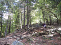 Felsenpfad Col de la Schlucht