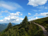 Felsenpfad Col de la Schlucht