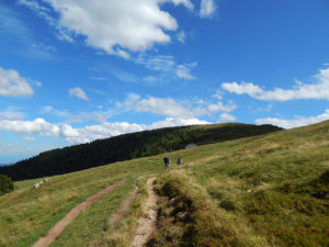 Col du Schaeferthal