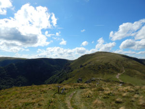 Blick vom Petit Hohneck auf den Hohneck