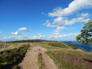 Felsenpfad Col de la Schlucht