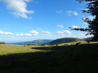 Felsenpfad Col de la Schlucht