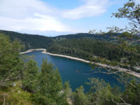 Rundweg Lac Blanc - Château Hans - Soultzeren Eck - Gazon du Faing