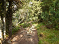 Rundweg Lac Blanc - Château Hans - Soultzeren Eck - Gazon du Faing