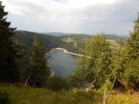 Rundweg Lac Blanc - Château Hans - Soultzeren Eck - Gazon du Faing
