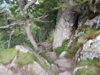 Rundweg Lac Blanc - Château Hans - Soultzeren Eck - Gazon du Faing