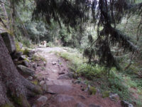 Rundweg Lac Blanc - Château Hans - Soultzeren Eck - Gazon du Faing
