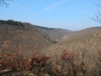 Traumschleife Ehrbachklamm am Saar-Hunsrück-Steig