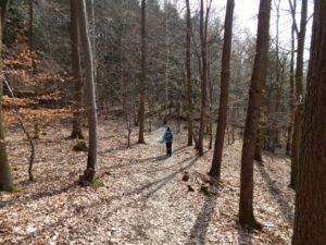 Traumschleife Ehrbachklamm am Saar-Hunsrück-Steig