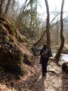 Traumschleife Ehrbachklamm am Saar-Hunsrück-Steig