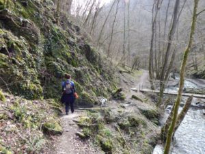 Traumschleife Ehrbachklamm am Saar-Hunsrück-Steig