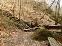 Traumschleife Ehrbachklamm am Saar-Hunsrück-Steig