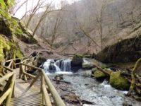 Traumschleife Ehrbachklamm am Saar-Hunsrück-Steig