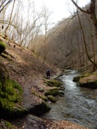 Traumschleife Ehrbachklamm am Saar-Hunsrück-Steig