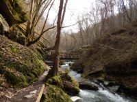 Traumschleife Ehrbachklamm am Saar-Hunsrück-Steig