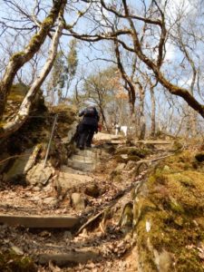 Traumschleife Ehrbachklamm am Saar-Hunsrück-Steig