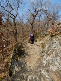 Traumschleife Ehrbachklamm am Saar-Hunsrück-Steig