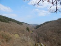 Traumschleife Ehrbachklamm am Saar-Hunsrück-Steig