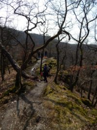 Traumschleife Ehrbachklamm am Saar-Hunsrück-Steig