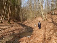 Traumschleife Ehrbachklamm am Saar-Hunsrück-Steig