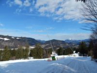 Söllereck - Sattelkopf - Hochleite - Schwand - Freibergsee