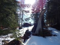 Söllereck - Sattelkopf - Hochleite - Schwand - Freibergsee