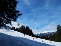 Söllereck - Sattelkopf - Hochleite - Schwand - Freibergsee