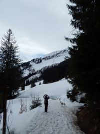 Söllereck - Sattelkopf - Hochleite - Schwand - Freibergsee